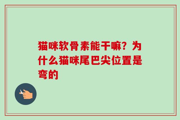 猫咪软骨素能干嘛？为什么猫咪尾巴尖位置是弯的