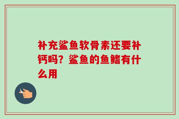 补充鲨鱼软骨素还要补钙吗？鲨鱼的鱼鳍有什么用