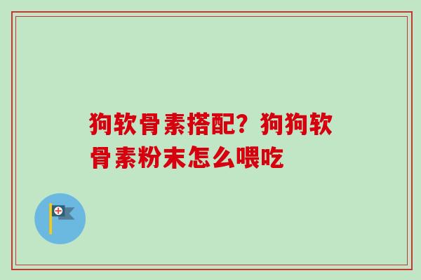 狗软骨素搭配？狗狗软骨素粉末怎么喂吃