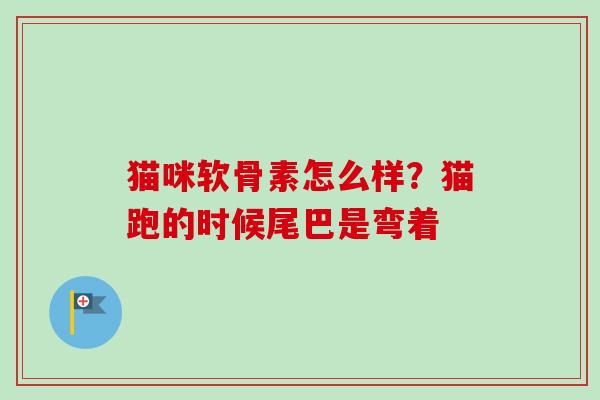 猫咪软骨素怎么样？猫跑的时候尾巴是弯着