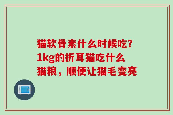 猫软骨素什么时候吃？1kg的折耳猫吃什么猫粮，顺便让猫毛变亮