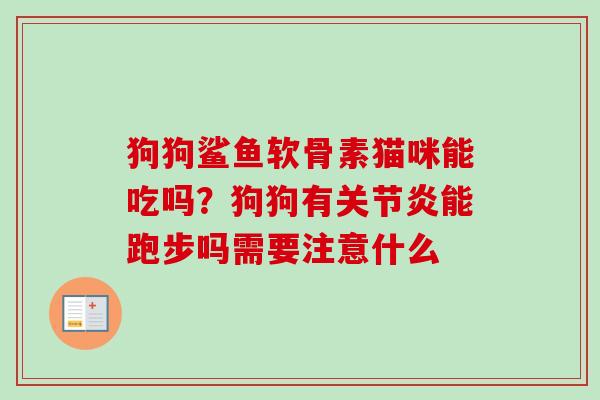 狗狗鲨鱼软骨素猫咪能吃吗？狗狗有关节炎能跑步吗需要注意什么