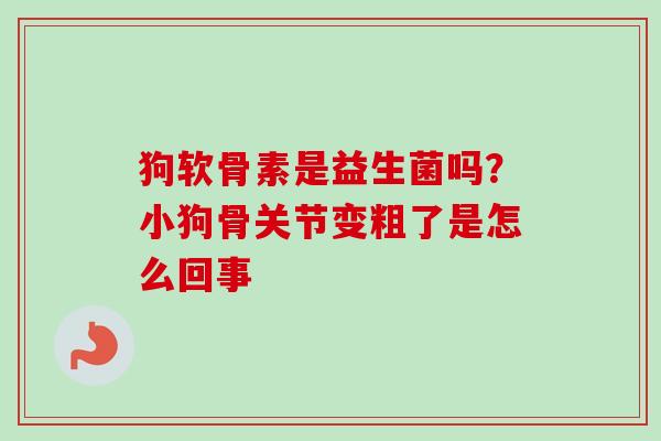 狗软骨素是益生菌吗？小狗骨关节变粗了是怎么回事
