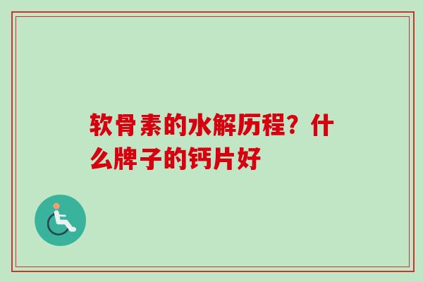 软骨素的水解历程？什么牌子的钙片好