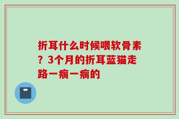折耳什么时候喂软骨素?3个月的折耳蓝猫走路一瘸一瘸的 折耳什么时候喂软骨素?3个月的折耳蓝猫走路一瘸一瘸的