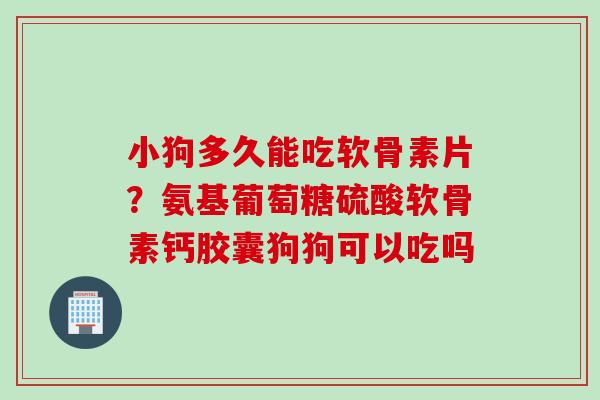 小狗多久能吃软骨素片？氨基葡萄糖硫酸软骨素钙胶囊狗狗可以吃吗
