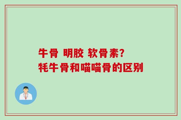 牛骨 明胶 软骨素？牦牛骨和喵喵骨的区别