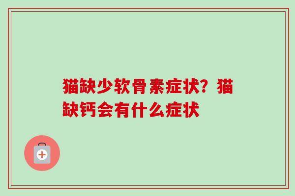 猫缺少软骨素症状？猫缺钙会有什么症状