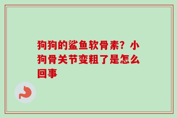 狗狗的鲨鱼软骨素？小狗骨关节变粗了是怎么回事