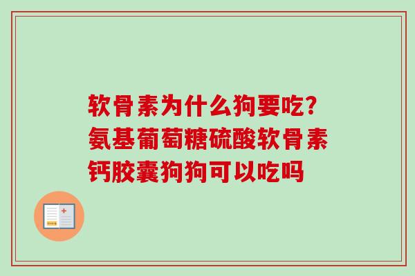 软骨素为什么狗要吃？氨基葡萄糖硫酸软骨素钙胶囊狗狗可以吃吗