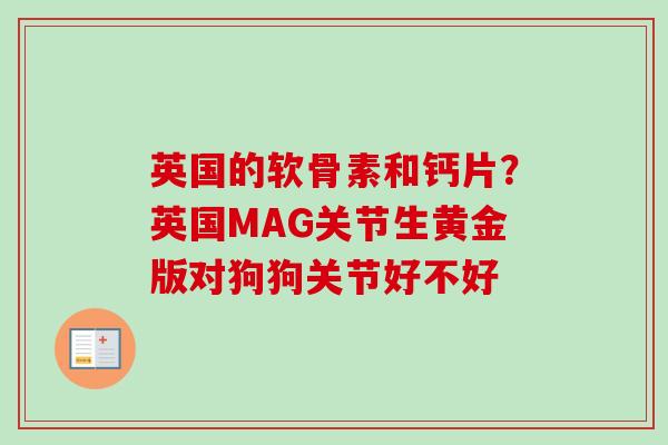 英国的软骨素和钙片？英国MAG关节生黄金版对狗狗关节好不好