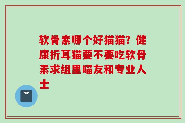 软骨素哪个好猫猫？健康折耳猫要不要吃软骨素求组里喵友和专业人士