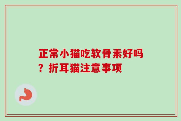 正常小猫吃软骨素好吗？折耳猫注意事项