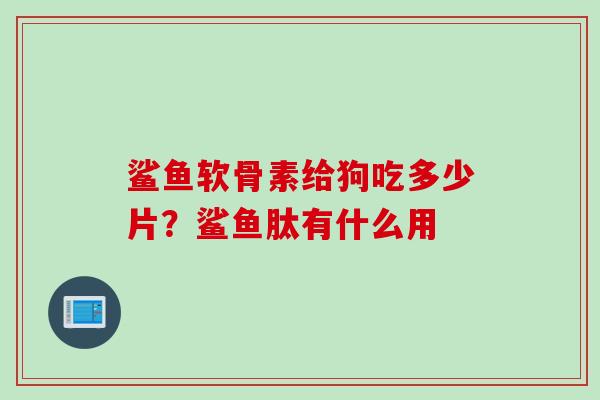 鲨鱼软骨素给狗吃多少片？鲨鱼肽有什么用