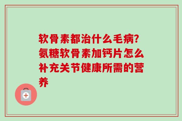 软骨素都治什么毛病？氨糖软骨素加钙片怎么补充关节健康所需的营养