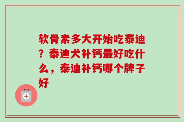 软骨素多大开始吃泰迪？泰迪犬补钙最好吃什么，泰迪补钙哪个牌子好