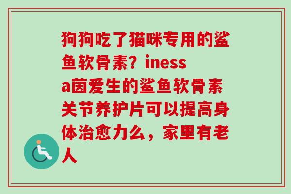 狗狗吃了猫咪专用的鲨鱼软骨素？inessa茵爱生的鲨鱼软骨素关节养护片可以提高身体治愈力么，家里有老人