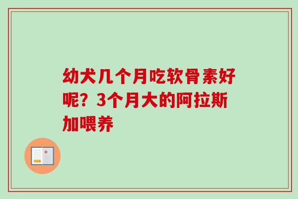 幼犬几个月吃软骨素好呢？3个月大的阿拉斯加喂养