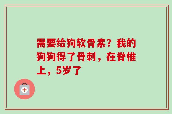 需要给狗软骨素？我的狗狗得了骨刺，在脊椎上，5岁了