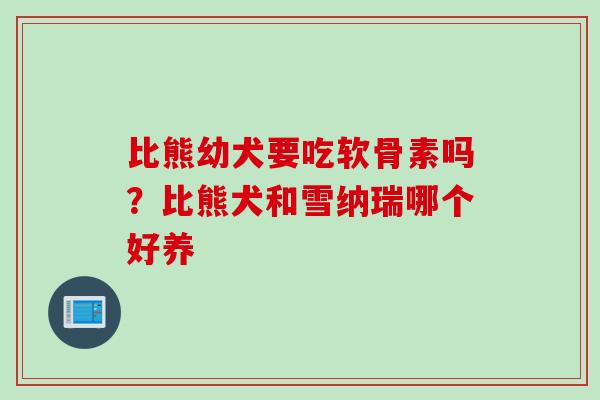 比熊幼犬要吃软骨素吗？比熊犬和雪纳瑞哪个好养