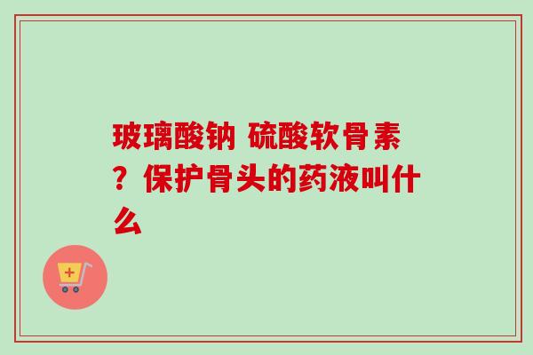 玻璃酸钠 硫酸软骨素？保护骨头的药液叫什么