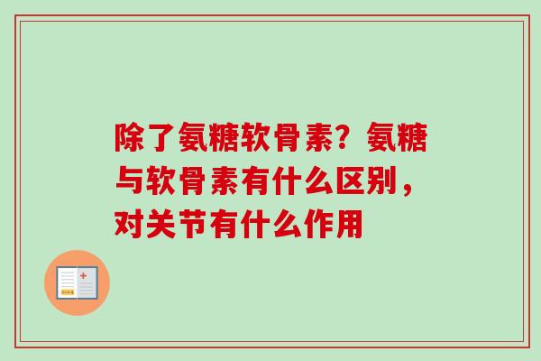 除了氨糖软骨素？氨糖与软骨素有什么区别，对关节有什么作用