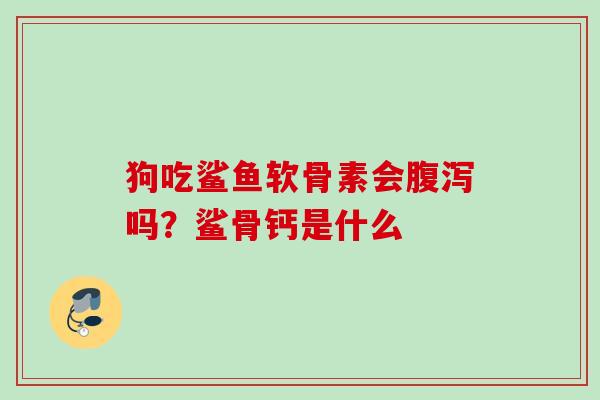 狗吃鲨鱼软骨素会吗?鲨骨钙是什么 狗吃鲨鱼软骨素会吗?鲨骨钙是什么