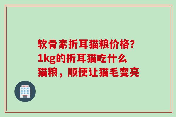 软骨素折耳猫粮价格？1kg的折耳猫吃什么猫粮，顺便让猫毛变亮