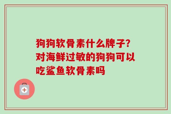 狗狗软骨素什么牌子？对海鲜过敏的狗狗可以吃鲨鱼软骨素吗