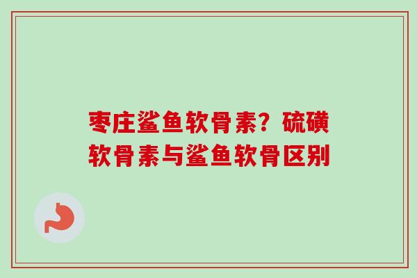 枣庄鲨鱼软骨素？硫磺软骨素与鲨鱼软骨区别