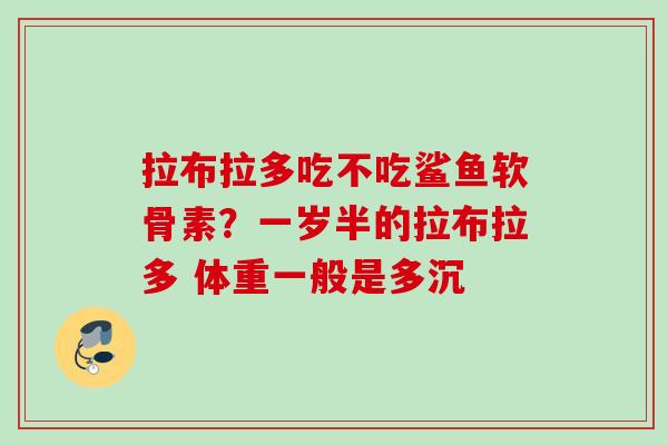 拉布拉多吃不吃鲨鱼软骨素？一岁半的拉布拉多 体重一般是多沉