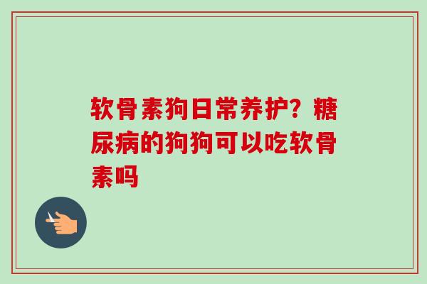 软骨素狗日常养护？糖尿病的狗狗可以吃软骨素吗
