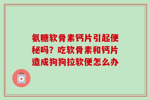 氨糖软骨素钙片引起便秘吗？吃软骨素和钙片造成狗狗拉软便怎么办