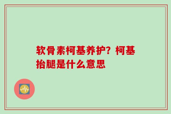 软骨素柯基养护？柯基抬腿是什么意思