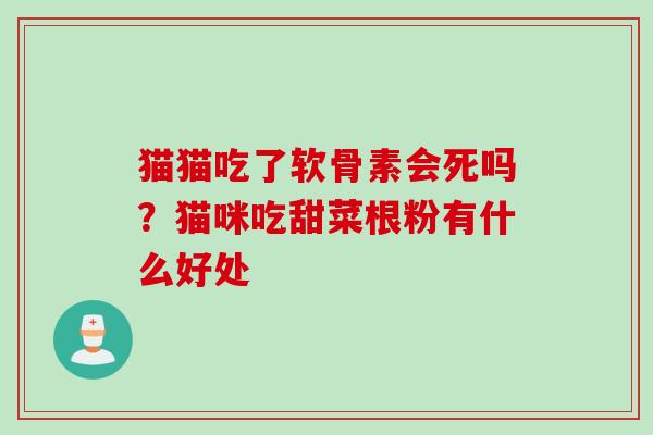 猫猫吃了软骨素会死吗？猫咪吃甜菜根粉有什么好处