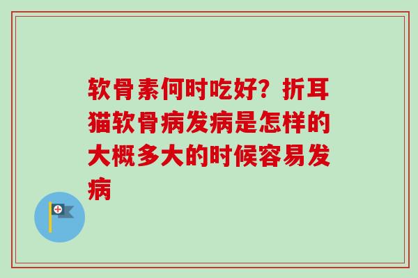 软骨素何时吃好？折耳猫软骨病发病是怎样的大概多大的时候容易发病