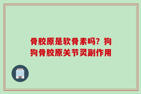 骨胶原是软骨素吗？狗狗骨胶原关节灵副作用