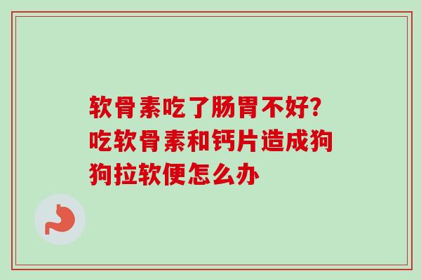 软骨素吃了肠胃不好？吃软骨素和钙片造成狗狗拉软便怎么办