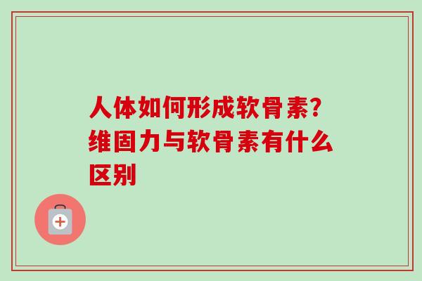 人体如何形成软骨素？维固力与软骨素有什么区别