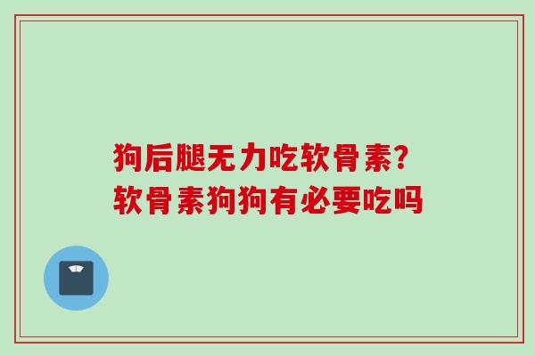 狗后腿无力吃软骨素？软骨素狗狗有必要吃吗