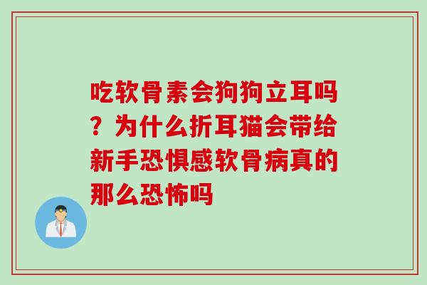 吃软骨素会狗狗立耳吗?为什么折耳猫会带给新手恐惧感软骨真的那么恐怖吗 吃软骨素会狗狗立耳吗?为什么折耳猫会带给新手恐惧感软骨真的那么恐怖吗