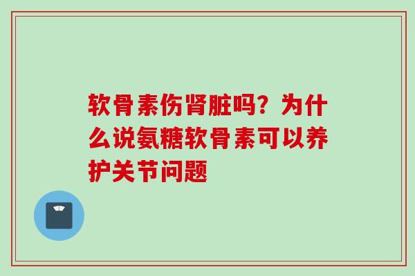 软骨素伤肾脏吗？为什么说氨糖软骨素可以养护关节问题