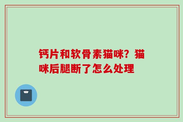 钙片和软骨素猫咪？猫咪后腿断了怎么处理