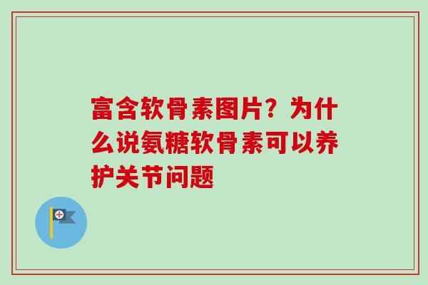富含软骨素图片？为什么说氨糖软骨素可以养护关节问题