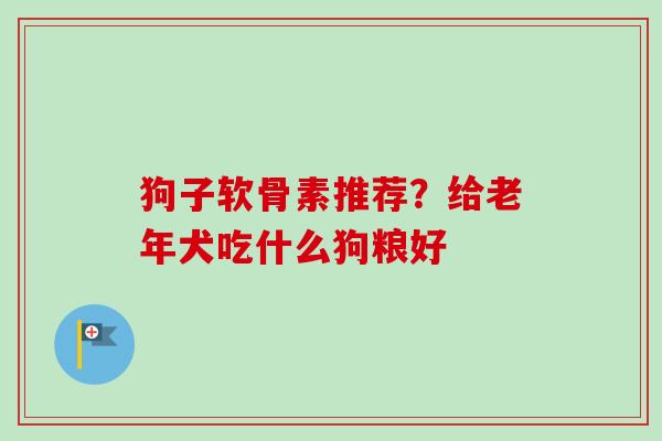 狗子软骨素推荐？给老年犬吃什么狗粮好