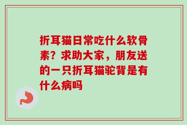 折耳猫日常吃什么软骨素？求助大家，朋友送的一只折耳猫驼背是有什么病吗