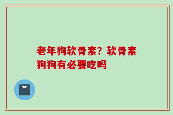老年狗软骨素？软骨素狗狗有必要吃吗