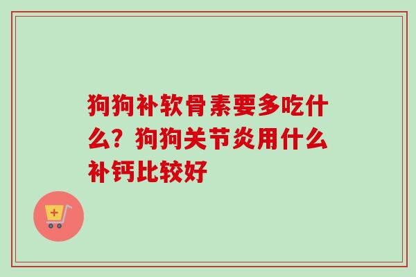 狗狗补软骨素要多吃什么？狗狗关节炎用什么补钙比较好