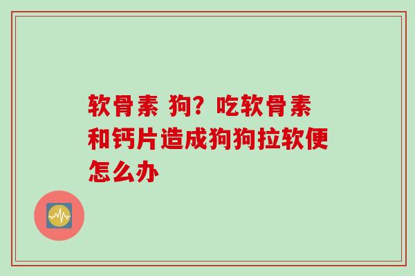 软骨素 狗？吃软骨素和钙片造成狗狗拉软便怎么办