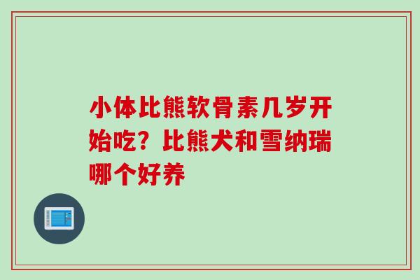 小体比熊软骨素几岁开始吃？比熊犬和雪纳瑞哪个好养